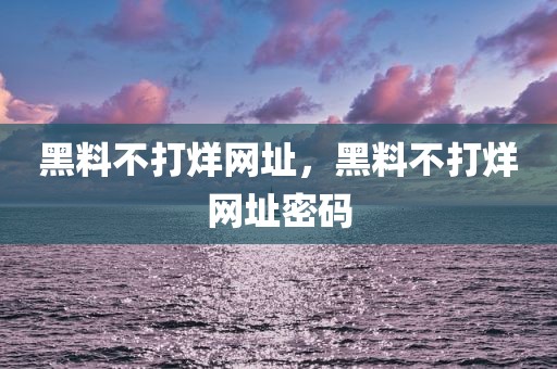黑料不打烊网址，黑料不打烊网址密码