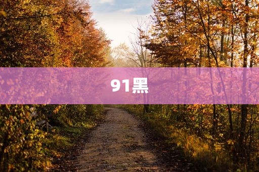 91黑