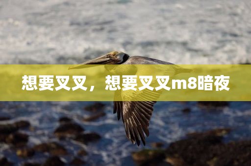 想要叉叉，想要叉叉m8暗夜