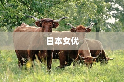 日本女优