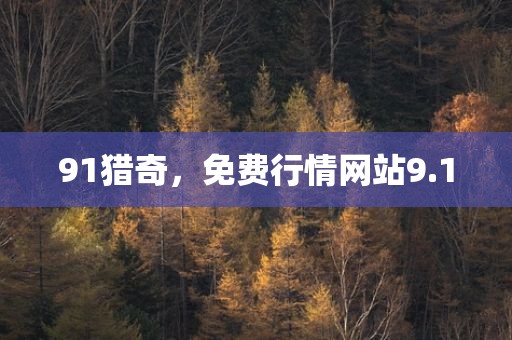 91猎奇，免费行情网站9.1