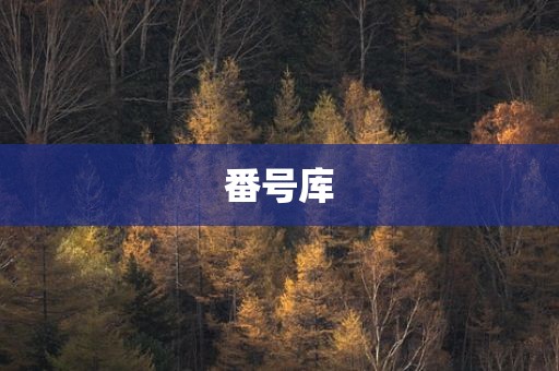 番号库