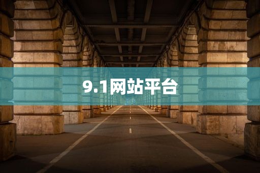 9.1网站平台