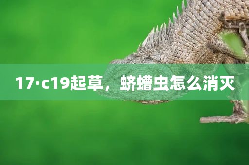 17·c19起草，蛴螬虫怎么消灭