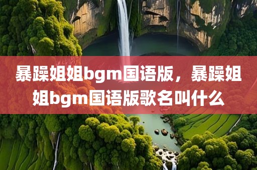 暴躁姐姐bgm国语版，暴躁姐姐bgm国语版歌名叫什么