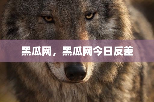 黑瓜网，黑瓜网今日反差