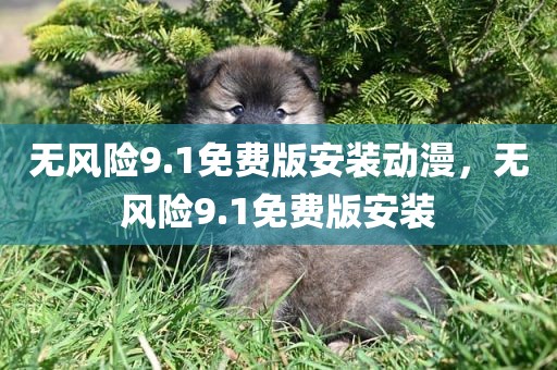 无风险9.1免费版安装动漫，无风险9.1免费版安装
