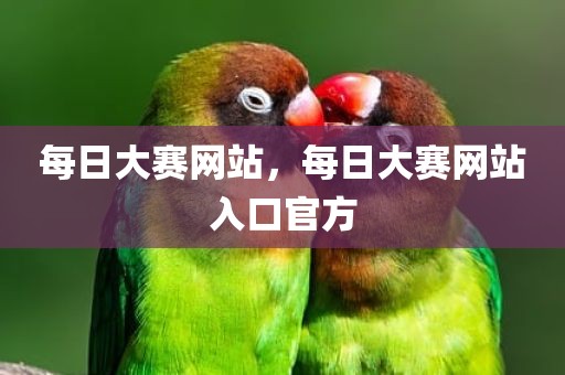 每日大赛网站，每日大赛网站入口官方