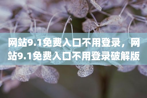 网站9.1免费入口不用登录，网站9.1免费入口不用登录破解版