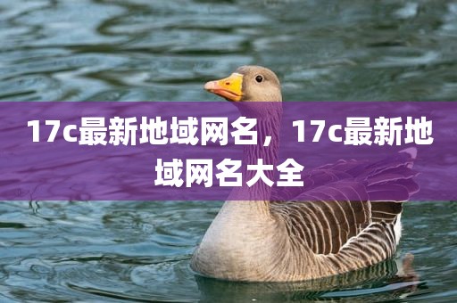 17c最新地域网名，17c最新地域网名大全