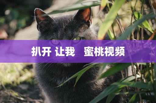 扒开 让我   蜜桃视频