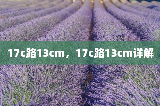 17c路13cm，17c路13cm详解