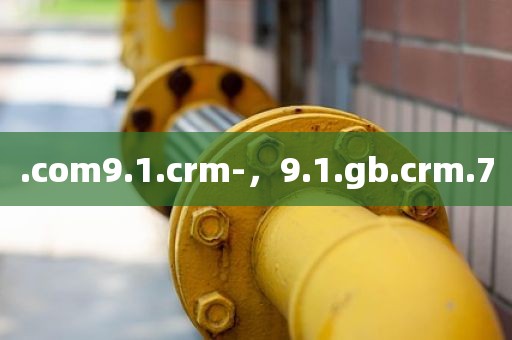 .com9.1.crm-，9.1.gb.crm.7