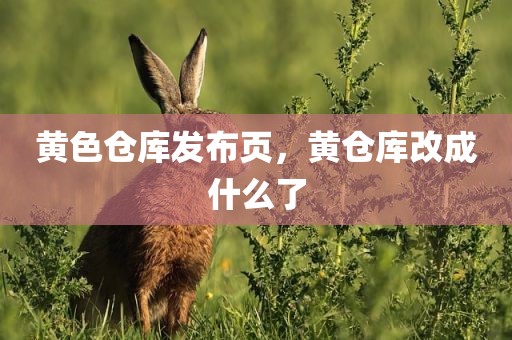 黄色仓库发布页，黄仓库改成什么了