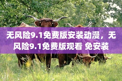 无风险9.1免费版安装动漫，无风险9.1免费版观看 免安装