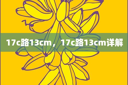 17c路13cm，17c路13cm详解
