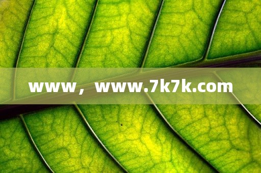 www，www.7k7k.com