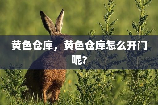 黄色仓库，黄色仓库怎么开门呢?