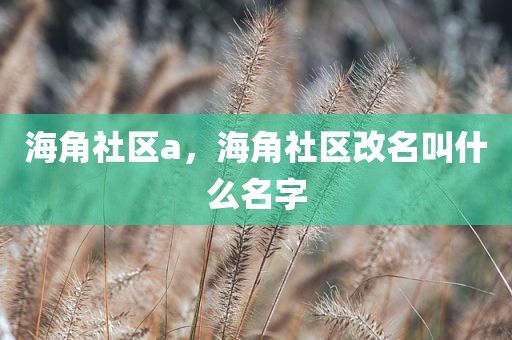 海角社区a，海角社区改名叫什么名字