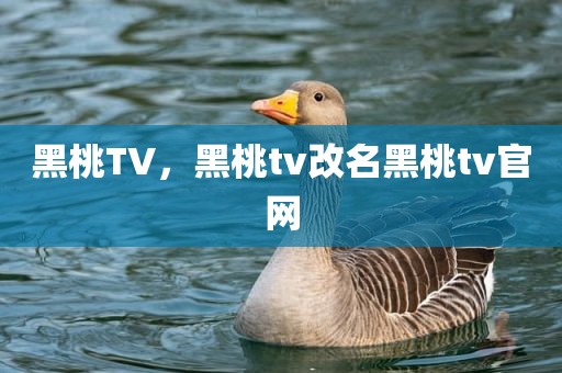 黑桃TV，黑桃tv改名黑桃tv官网