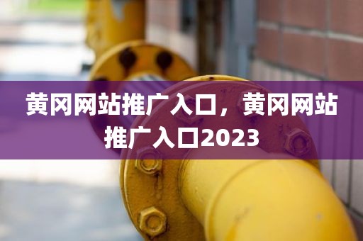 黄冈网站推广入口，黄冈网站推广入口2023