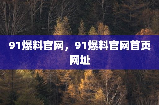 91爆料官网，91爆料官网首页网址