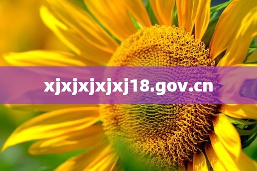 xjxjxjxjxj18.gov.cn