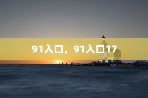 91入口，91入口17