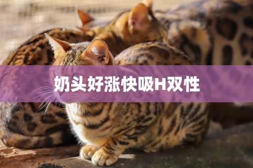 奶头好涨快吸H双性