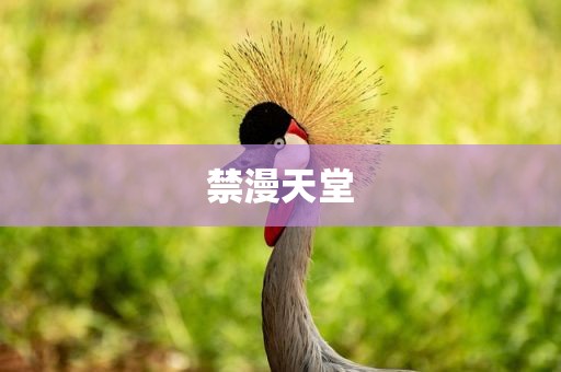 禁漫天堂