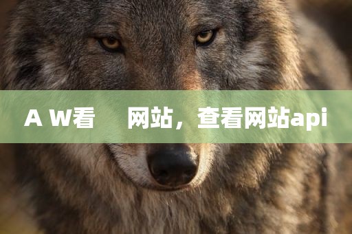 A W看     网站，查看网站api