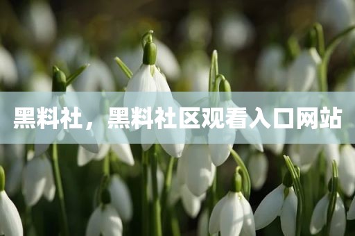 黑料社，黑料社区观看入口网站