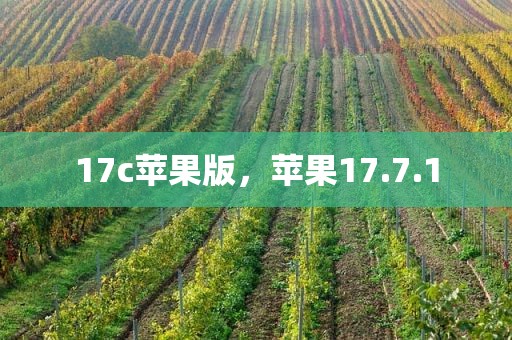 17c苹果版，苹果17.7.1