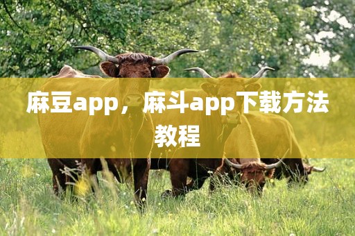 麻豆app，麻斗app下载方法教程