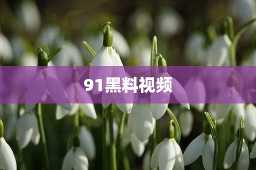 91黑料视频
