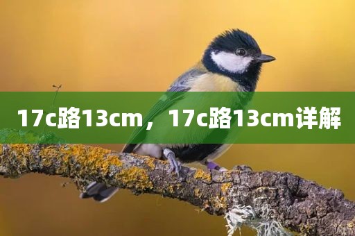 17c路13cm，17c路13cm详解