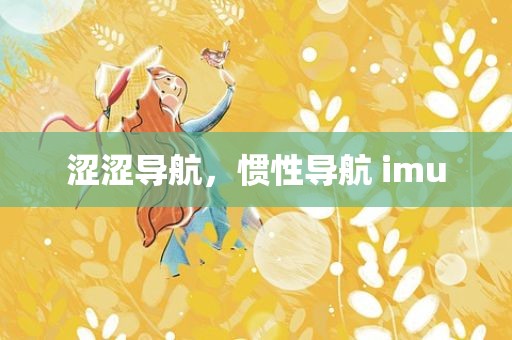 涩涩导航，惯性导航 imu