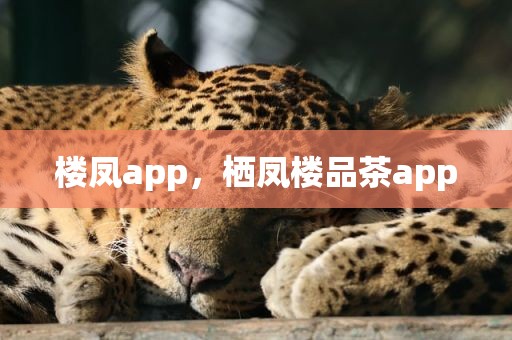 楼凤app，栖凤楼品茶app