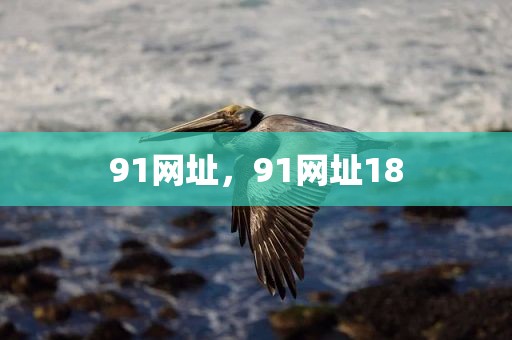 91网址，91网址18