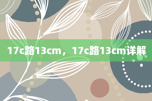 17c路13cm，17c路13cm详解