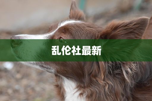乱伦社最新