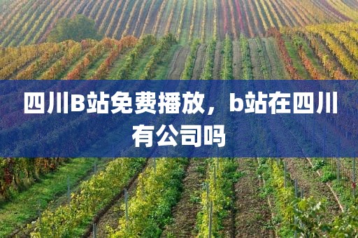 四川B站免费播放，b站在四川有公司吗
