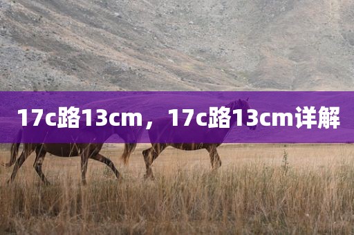 17c路13cm，17c路13cm详解