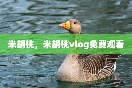 米胡桃，米胡桃vlog免费观看
