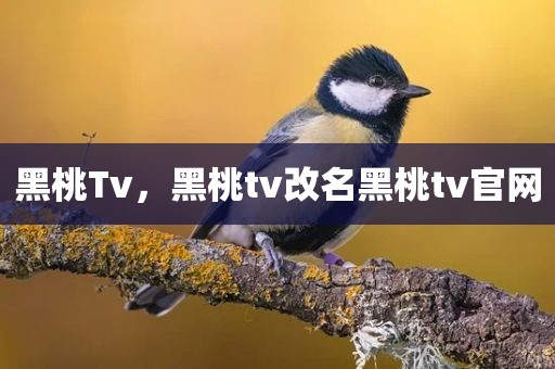 黑桃Tv，黑桃tv改名黑桃tv官网