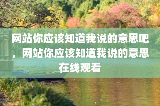 网站你应该知道我说的意思吧，网站你应该知道我说的意思在线观看