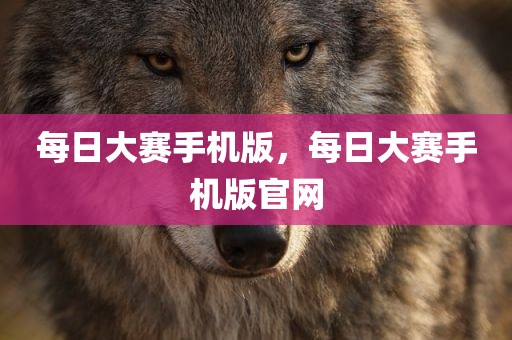 每日大赛手机版，每日大赛手机版官网