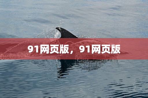 91网页版，91网页版