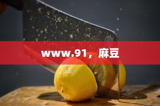 www.91，麻豆