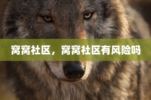 窝窝社区，窝窝社区有风险吗